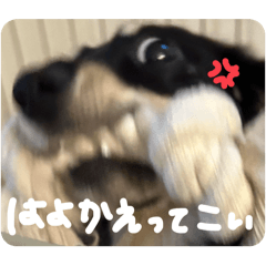 haru_20250321152832