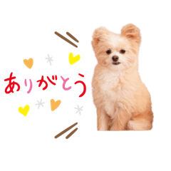 miki_20250321153507