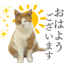犬猫保護団体レオ 保護っ子スタンプ①