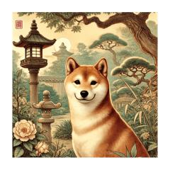 A pure Japanese Shiba Inu