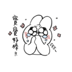 瘋狂追星女日常