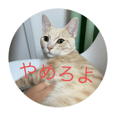 mame_20250321155056