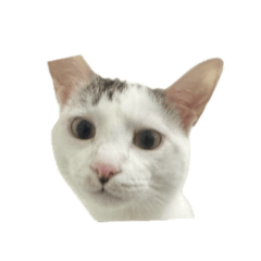 omo_20250321155937