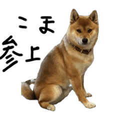 Kaho_20250321160339