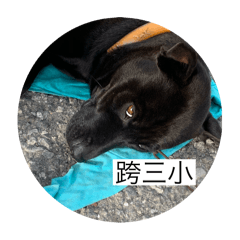 我是奶基