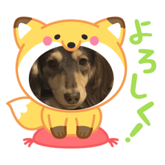 yuua_20250321175712