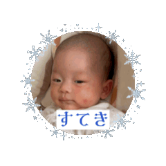 hikari_20250322080816