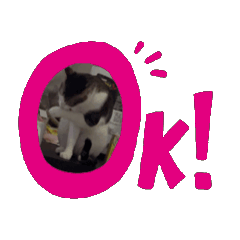 黏TTTtTTT
