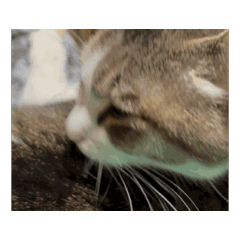 kazuki_20250321193352