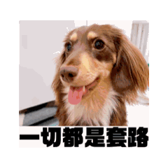 妞妞神顏動動動起來啦
