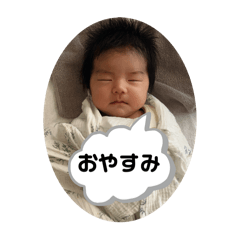 yukari_20250321235644