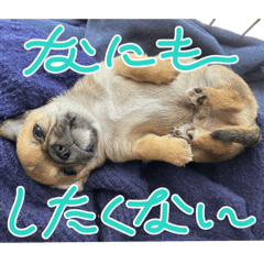 riko_20250321210533