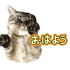 ami_20250321210759