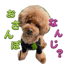rika_20250321170644