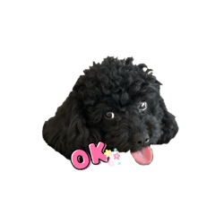 ako_20250321215010