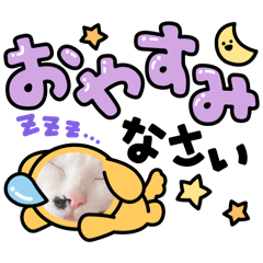 Haruharuyuzu