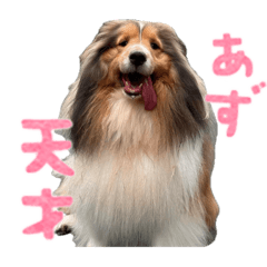 ay_20250322011748