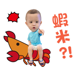 小泡芙ㄉ日常