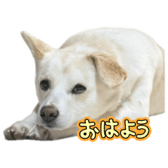 HARU_20250321180716