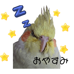 rinrin_20250321181852