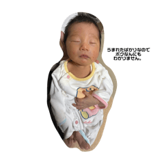 mao_20250321181954