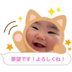 Yuzudream