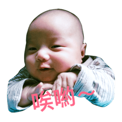 驊驊的日常