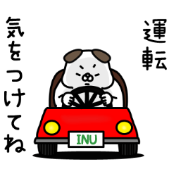 Zenryoku Inu Considerate