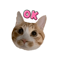 Saori_20250321231023