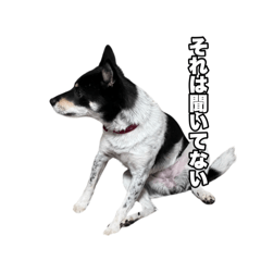 mei_20250322104913