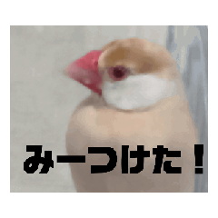 happy_20250322120130