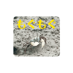 na_20250322115435