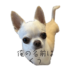 くうのつぶやき
