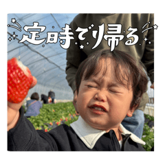 Hikaru_20250322121849