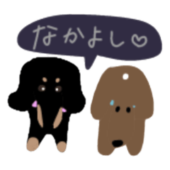 myon_20250322