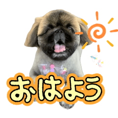 CHI_20250322075340