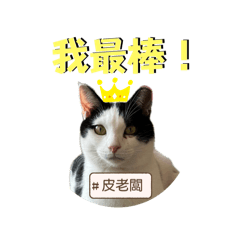 皮老闆的可愛日常貼圖