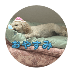 Tomomi_20250322130324