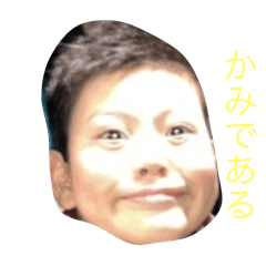 Taro_20250322132508