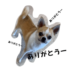 take_20250322135450