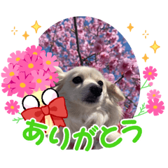 English_20250322113411