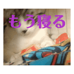 suzu_20250322173427