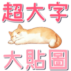 一週7天的喵喵問候