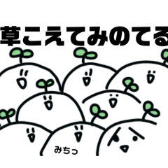 hachi_20250322180152