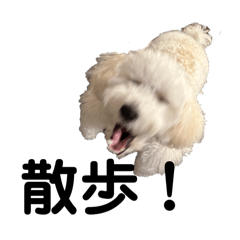 JK_20250322175842