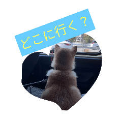 mei_20250322140531