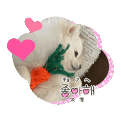 chiro_20250322223055