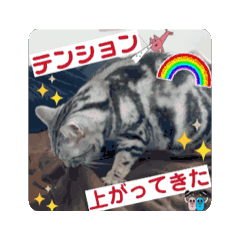 shu_20250322235350