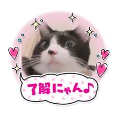 kota stamp_1