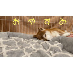 taka_20250322184019
